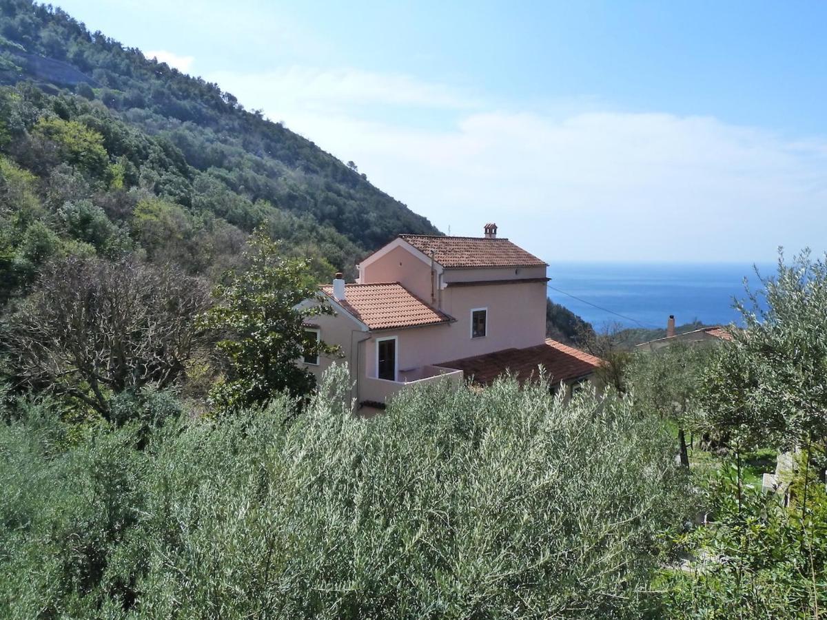 Casa Puccini B&B Maratea Eksteriør billede