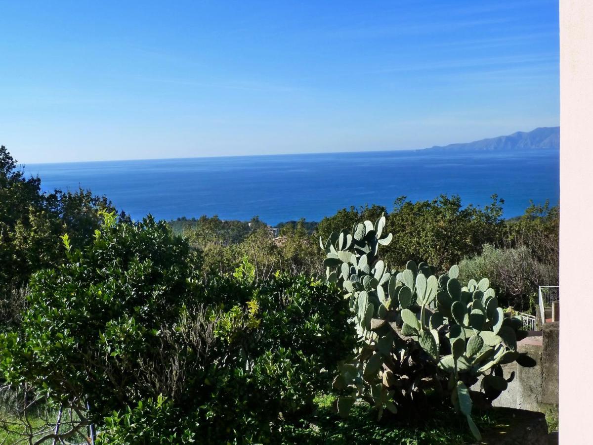 Casa Puccini B&B Maratea Eksteriør billede