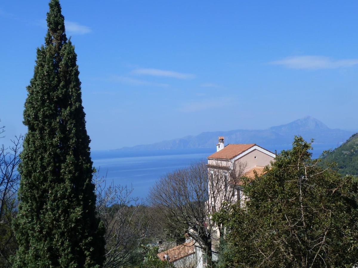 Casa Puccini B&B Maratea Eksteriør billede