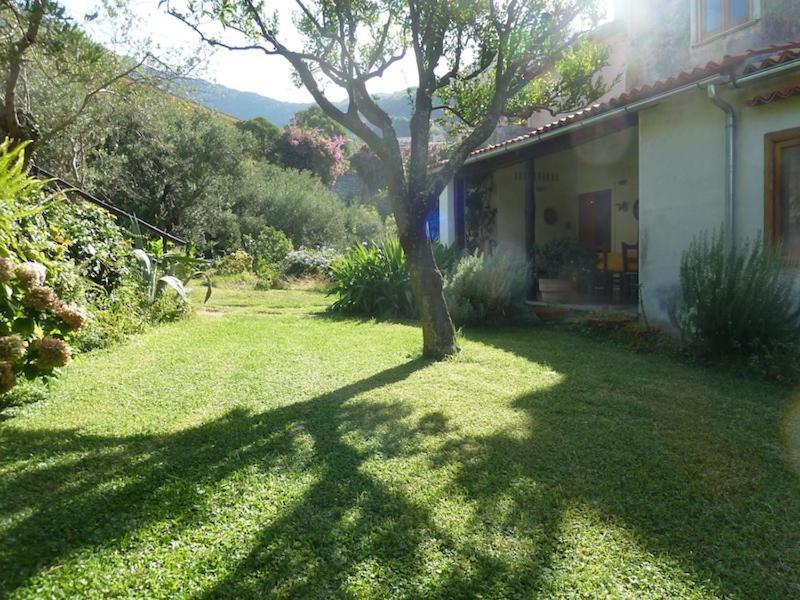Casa Puccini B&B Maratea Eksteriør billede