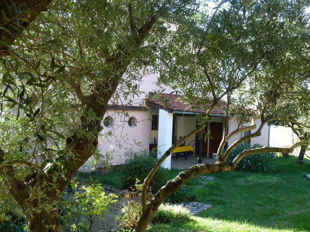Casa Puccini B&B Maratea Eksteriør billede