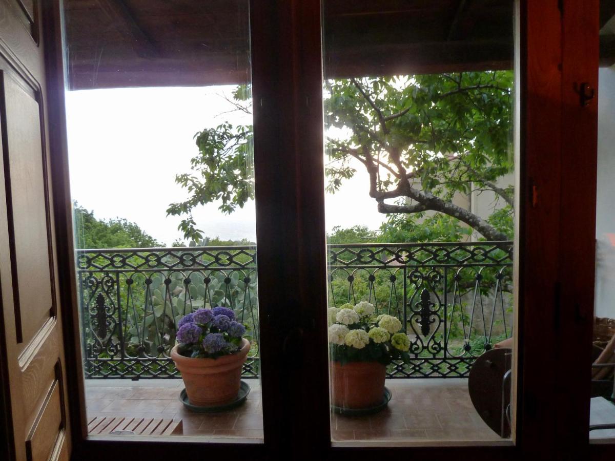 Casa Puccini B&B Maratea Eksteriør billede