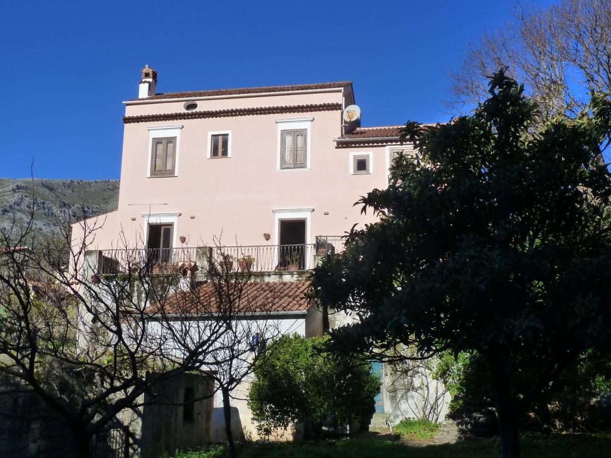 Casa Puccini B&B Maratea Eksteriør billede