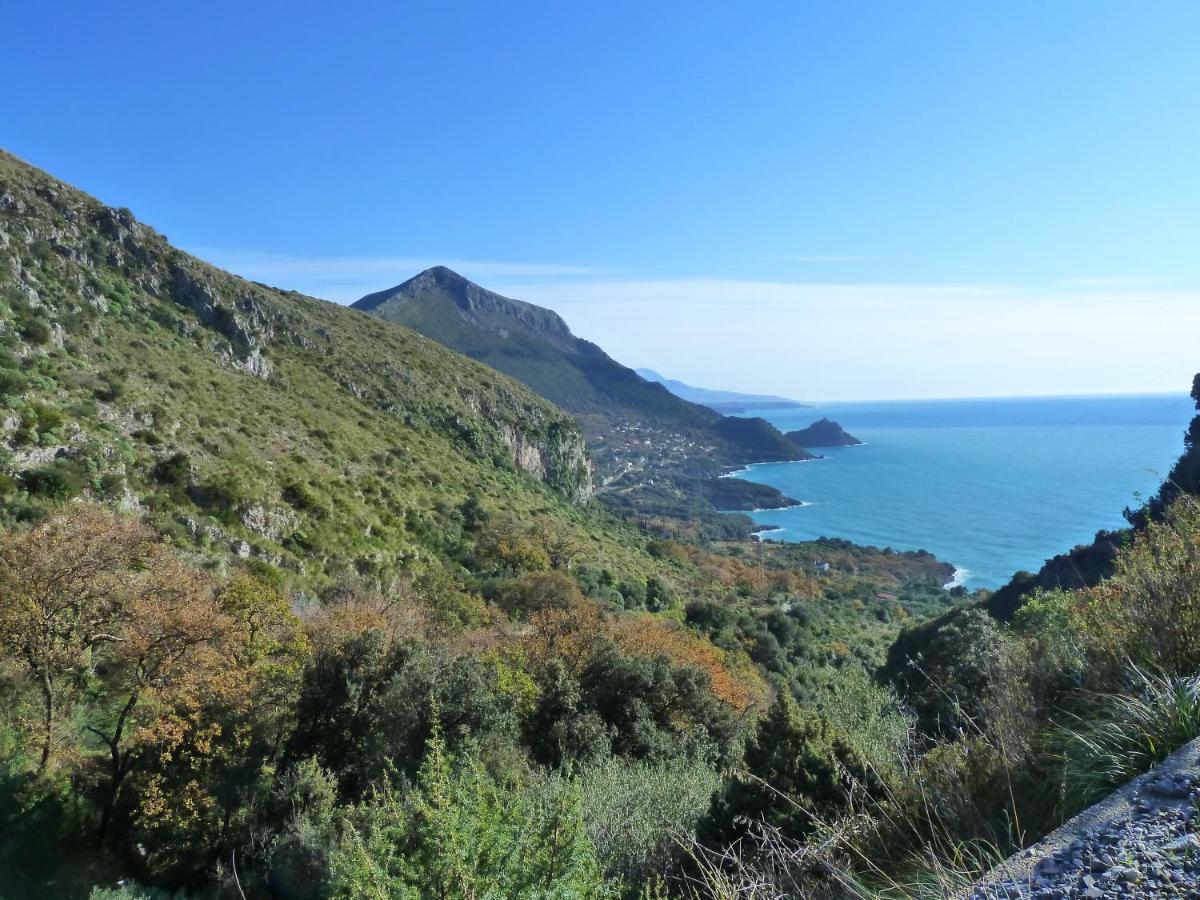 Casa Puccini B&B Maratea Eksteriør billede