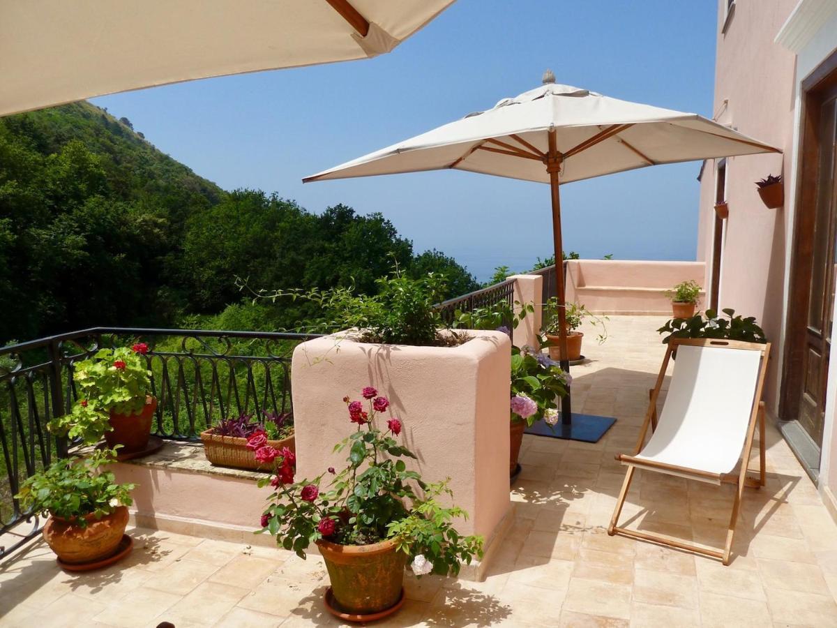 Casa Puccini B&B Maratea Eksteriør billede