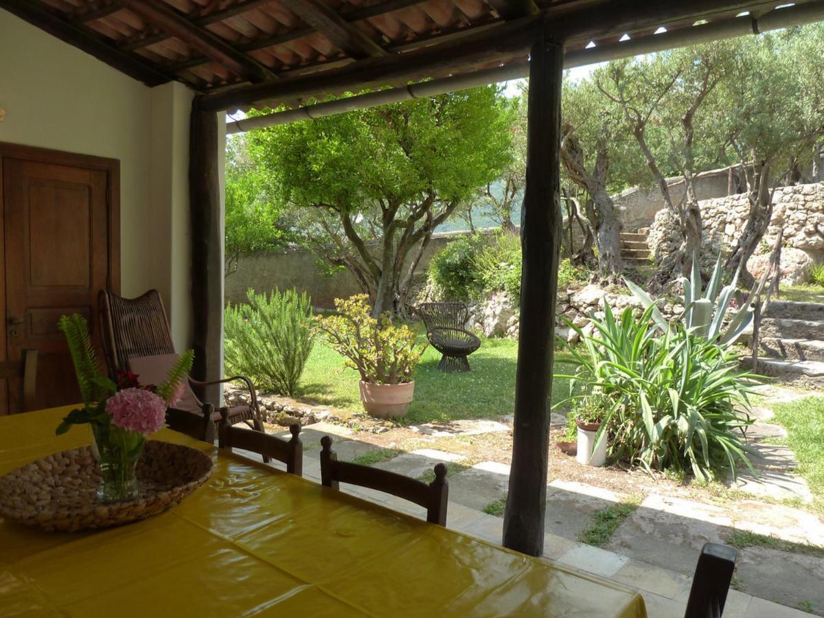 Casa Puccini B&B Maratea Eksteriør billede